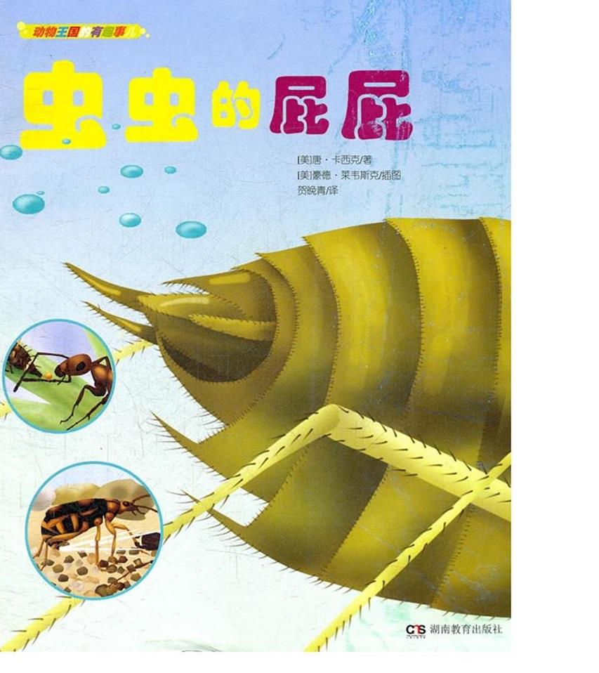 虫虫的屁屁