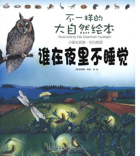 不一样的大自然绘本：谁在夜里不睡觉
